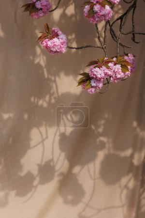 Photo for A sakura branch and a beautiful shadow from it on a background of beige fabric - Royalty Free Image
