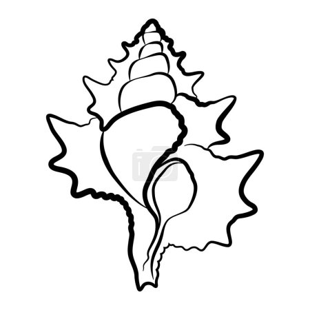 Illustration for Triton shell vector icon design. Marine world flat icon. - Royalty Free Image