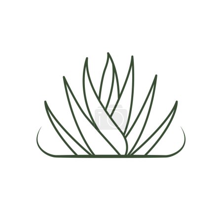 Téléchargez les illustrations : Conception d'icône vectorielle Aloe vera. Feuilles de plantes logo biologique. - en licence libre de droit