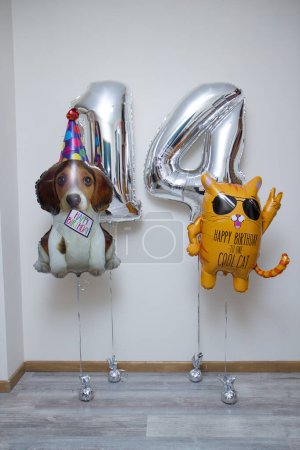 lámina de plata números 14 globos, gato naranja con gafas, perro en una gorra
