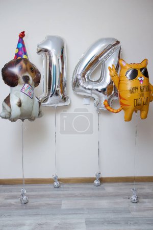 silver foil numbers 14 balloons, orange cat with glasses, dog in a cap