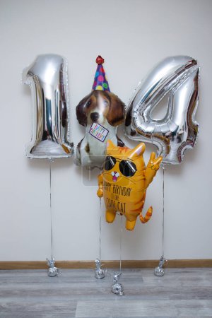 feuille d'argent numéros 14 ballons, chat orange avec lunettes, chien dans une casquette
