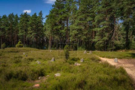 Photo for Stone Circles at Odry surrounded by pine forest, an ancient burial and worship place. UNESCO Archaeological and Natural Reserve, Pomerania, Poland - Royalty Free Image
