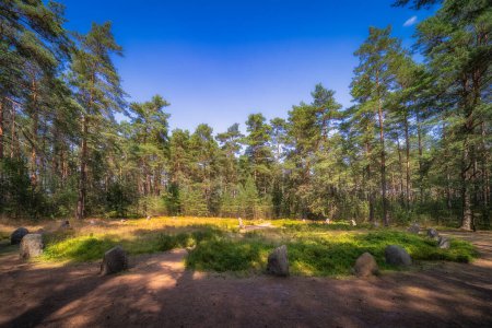 Foto de Grandes Círculos de Piedra en Odry en el Bosque de Tuchola, un antiguo lugar de entierro y adoración. Reserva Arqueológica y Natural de la UNESCO, Pomerania, Polonia - Imagen libre de derechos