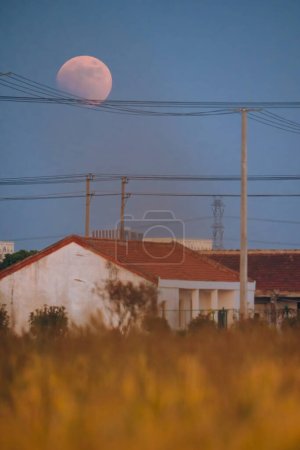 Foto de Total lunar eclipse and  rice fields - Imagen libre de derechos
