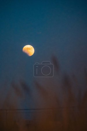 Téléchargez les photos : Total lunar eclipse and  rice fields - en image libre de droit