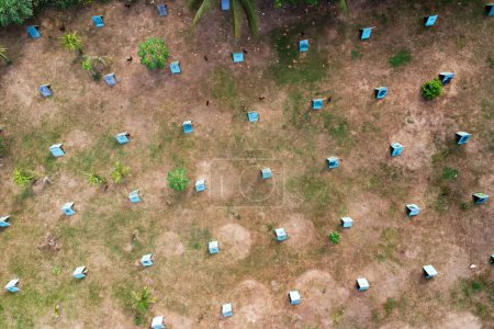 Aerial view of a rooster farm with small houses for the roosters. Home chicken farm in Asia.