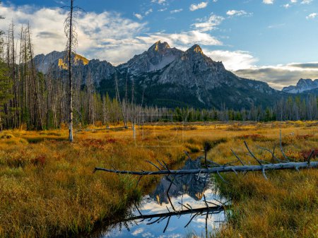 Idaho wilderness meadow with high mountain peaks