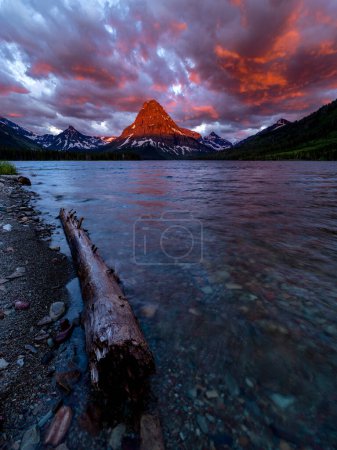 Photo for Log along the shore of a lake in Glacier Montana at sunrise - Royalty Free Image