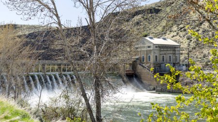 Téléchargez les photos : Vue à travers les arbres du barrage de dérivation sur la rivière Boise - en image libre de droit