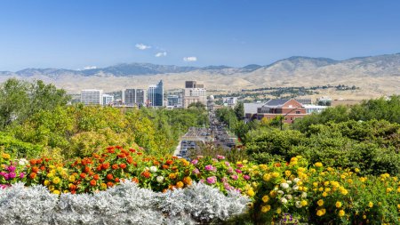 Flores de colores y la ciudad de Boise Idaho 