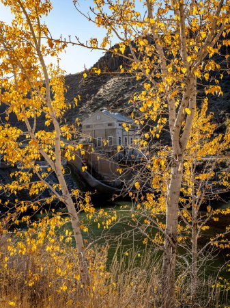 Téléchargez les photos : Arbres colorés à l'automne au barrage de dérivation de la rivière Boise - en image libre de droit