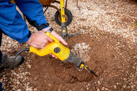 Photo for Man uses an electric saw to cut a stump - Royalty Free Image