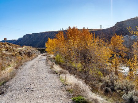 Téléchargez les photos : Arbres d'automne le long d'un chemin de terre dans l'Idaho - en image libre de droit