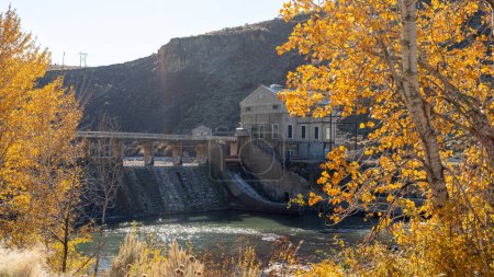 Téléchargez les photos : Des peupliers aux couleurs automnales au barrage emblématique de Boise - en image libre de droit