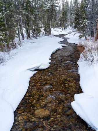 Snow covered banks of a small stream winds through a forest
