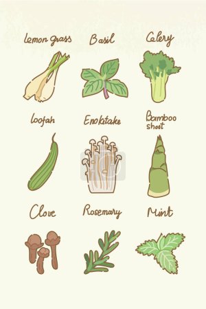 Illustration for Set of isolated color illustrations of vegetables_04 - Royalty Free Image