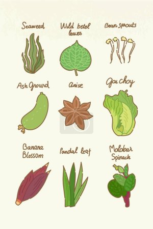 Illustration for Set of isolated color illustrations of vegetables_06 - Royalty Free Image