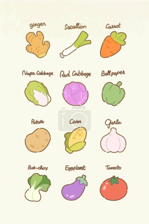 Illustration for Set of isolated color illustrations of vegetables_01 - Royalty Free Image
