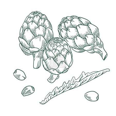 Illustration for Hand drawn engraving style artichokes illustrations. - Royalty Free Image