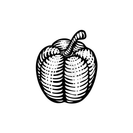 Téléchargez les illustrations : Croquis vectoriel d'un poivron - en licence libre de droit
