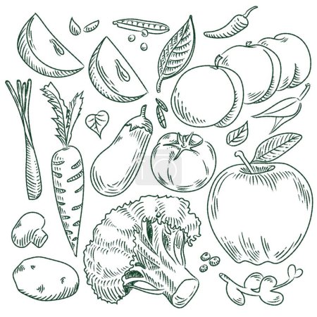 Téléchargez les illustrations : Ensemble vectoriel de légumes et fruits dessiné à la main. - en licence libre de droit