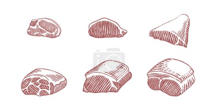 Tranches de viande Esquisse dessinée à la main illustration vectorielle de style