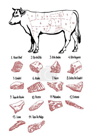 Illustration for Set of spanish beef hand drawn sketch. vector sketch illustration. - Royalty Free Image