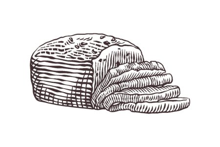 Téléchargez les illustrations : Croquis vectoriel gravure illustration de pain pain - en licence libre de droit