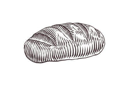 Téléchargez les illustrations : Croquis vectoriel dessiné à la main illustration de pain frais, boulangerie, pain. - en licence libre de droit