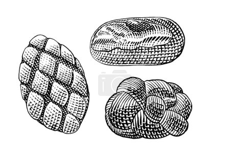 Ilustración de Dibujo vectorial dibujado a mano ilustración de pan fresco, panadería, pan. - Imagen libre de derechos