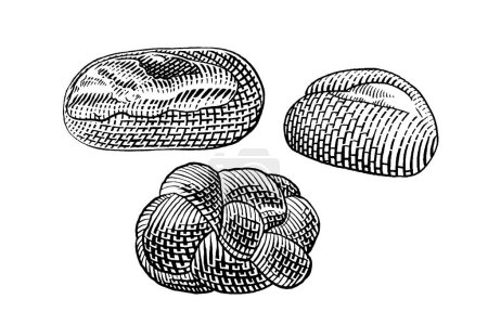Illustration for Set of hand drawn bread. vector illustration - Royalty Free Image