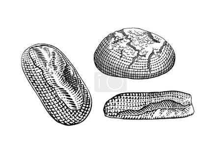 Ilustración de Dibujo vectorial dibujado a mano ilustración de pan fresco, panadería, pan. - Imagen libre de derechos