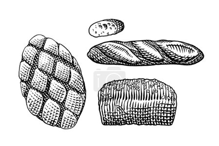 Téléchargez les illustrations : Ensemble de pain, pain de pain. - en licence libre de droit