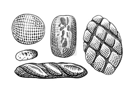 Téléchargez les illustrations : Ensemble de différents types de pain - en licence libre de droit