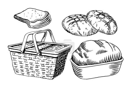 Illustration for Vector illustration. hand - drawn sketch of bread. - Royalty Free Image