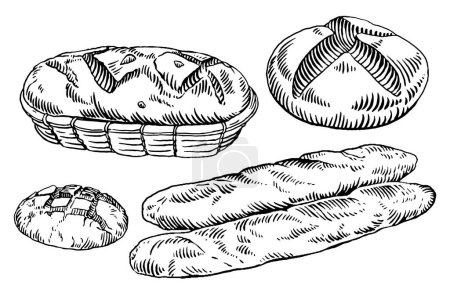 Ilustración de Pan pan y productos de panadería vector ilustración. boceto dibujado a mano. - Imagen libre de derechos