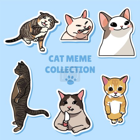 Collection cat meme sticker illustration vector design