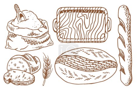 Bakery set with a lot of types fresh bread. Set of vintage hand drawn bakery elements.
