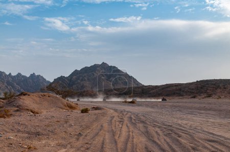 Foto de Turistas montan quads en el desierto - Imagen libre de derechos