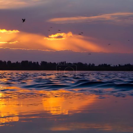 Zwielichtsinfonie: Die Schönheit der Natur spiegelt sich im Spiegel des Sees