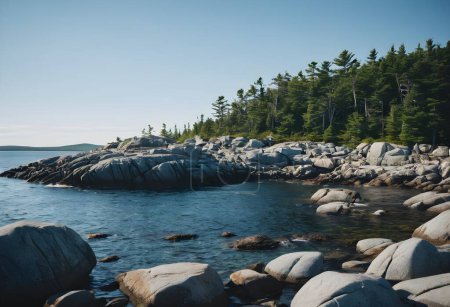 Majesté côtière : Exploration de l'île Mount Desert, Maine