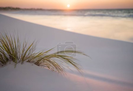 Dune Dreams : Coucher de soleil captivant sur la côte