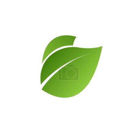Ilustración de Verde dejar icono vector aislado sobre fondo blanco - imagen estilizada. - Imagen libre de derechos