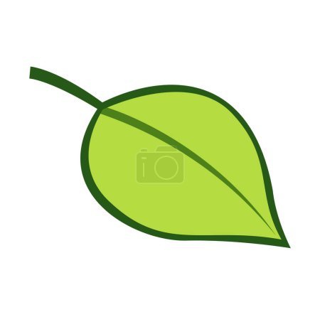 Illustration for Green leave vector icon isolated on white background - stylized image. - Royalty Free Image