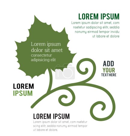 Illustration for Green vine leaf vector icon set isolated on white backgroun - Royalty Free Image