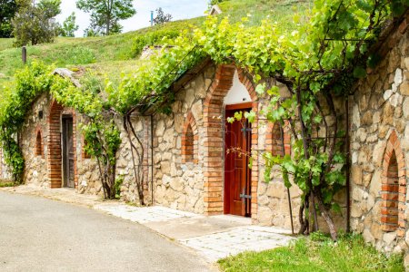 Photo for Traditional Wine Cellars - Vrbice, Czech Republic, Europe. High quality photo - Royalty Free Image