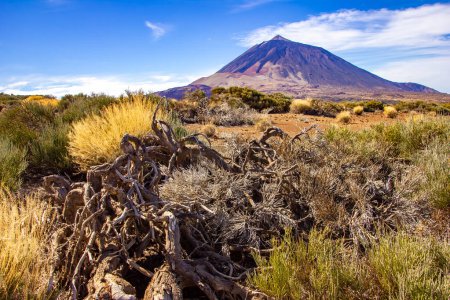 Téléchargez les photos : Trek à travers le parc national Las Canadas, Pico del Teide, Tenerife. Photo de haute qualité - en image libre de droit