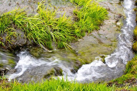 Cette image capture parfaitement le contraste saisissant entre l'herbe verte vibrante et la rivière thermale chaude de Reykjadalur, située dans le contexte spectaculaire des montagnes islandaises.