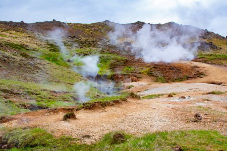 Esta cautivadora imagen ilustra la belleza etérea de los respiraderos humeantes y la actividad volcánica que caracterizan la región montañosa que rodea el río termal Reykjadalur en